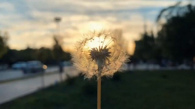 一首非常好听的经典老歌,周华健《花心》,花的心,藏在蕊中