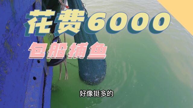 花6000包下一条拖网船,收获几百斤海货!结果还亏了?