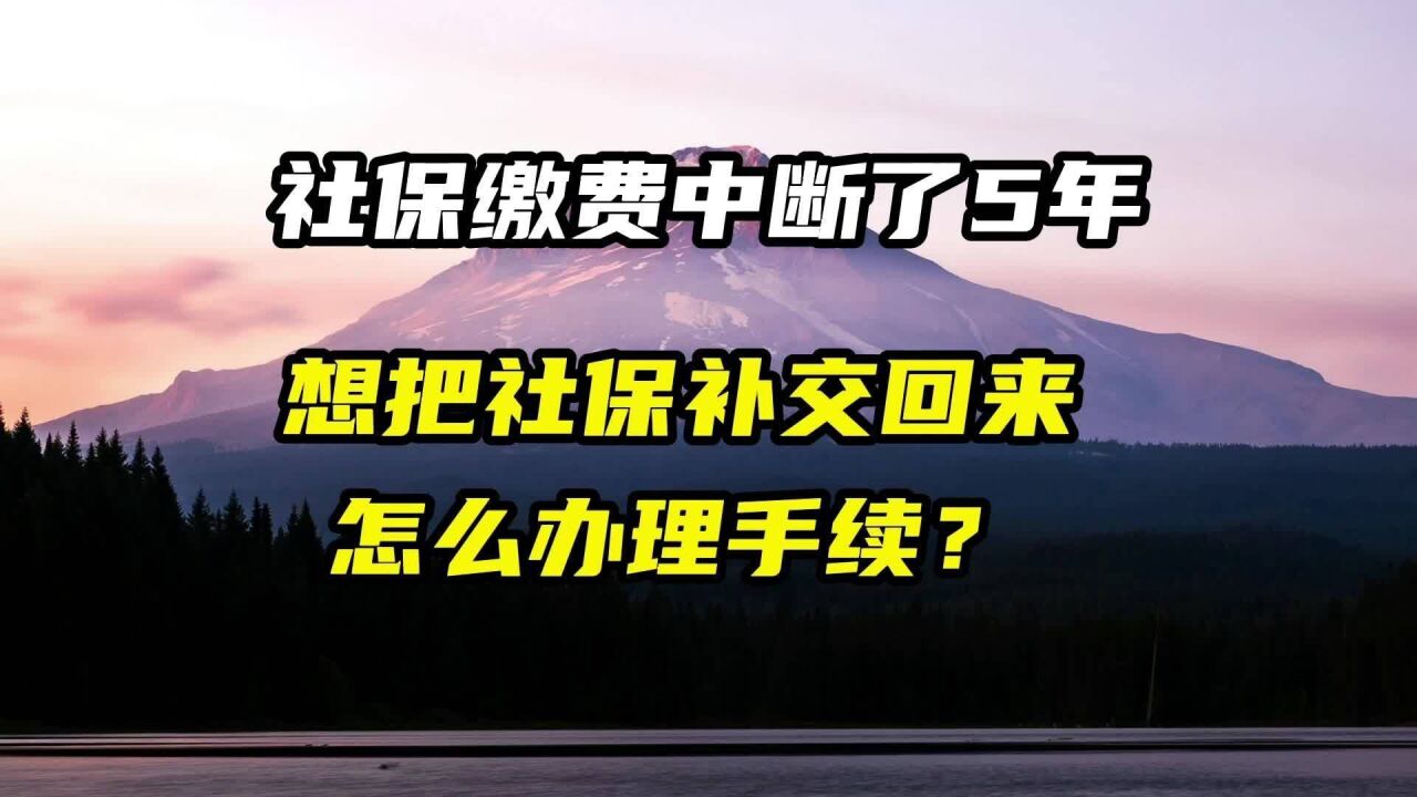 社保缴费中断了5年,想把社保补缴回来,怎么办理手续?