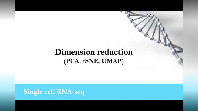 7 scRNAseq:降维(PCA、tSNE、UMAP)