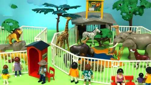 动物世界系列：野生动物园里的动物