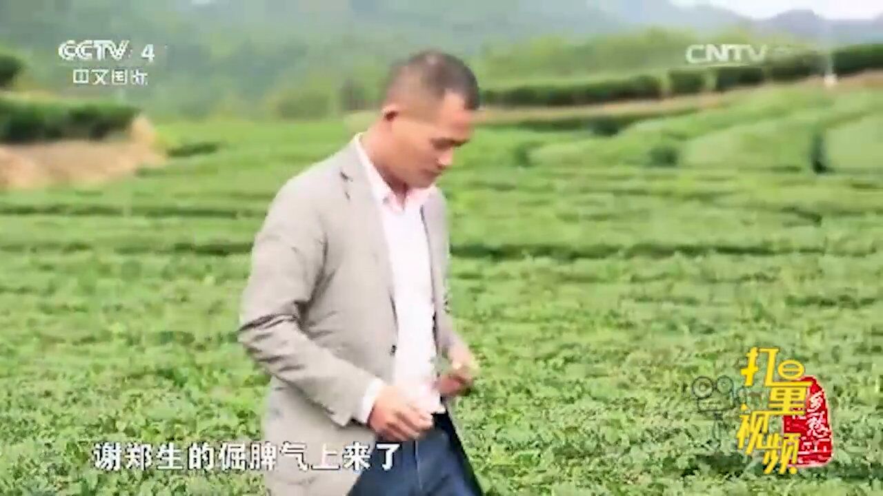 出产的茶叶多次荣获“茶王”称号,让他们摆脱了贫困