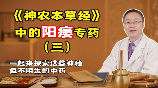 中医治疗男科疾病,常用到的2味中药,中老年男性的“万金油”