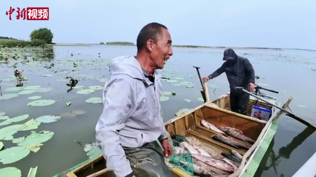 河北衡水湖开湖捕鱼