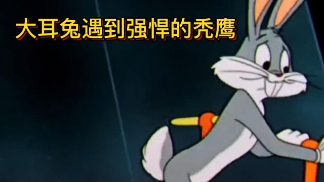 大耳兔遇到强悍的秃鹰 ,于是开启了逃跑模式