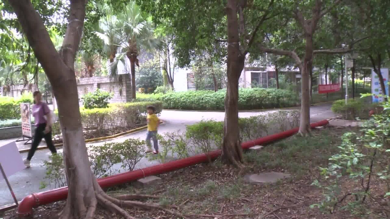 楼下搭雨棚楼上意见大 不属于违章搭建怎么办?