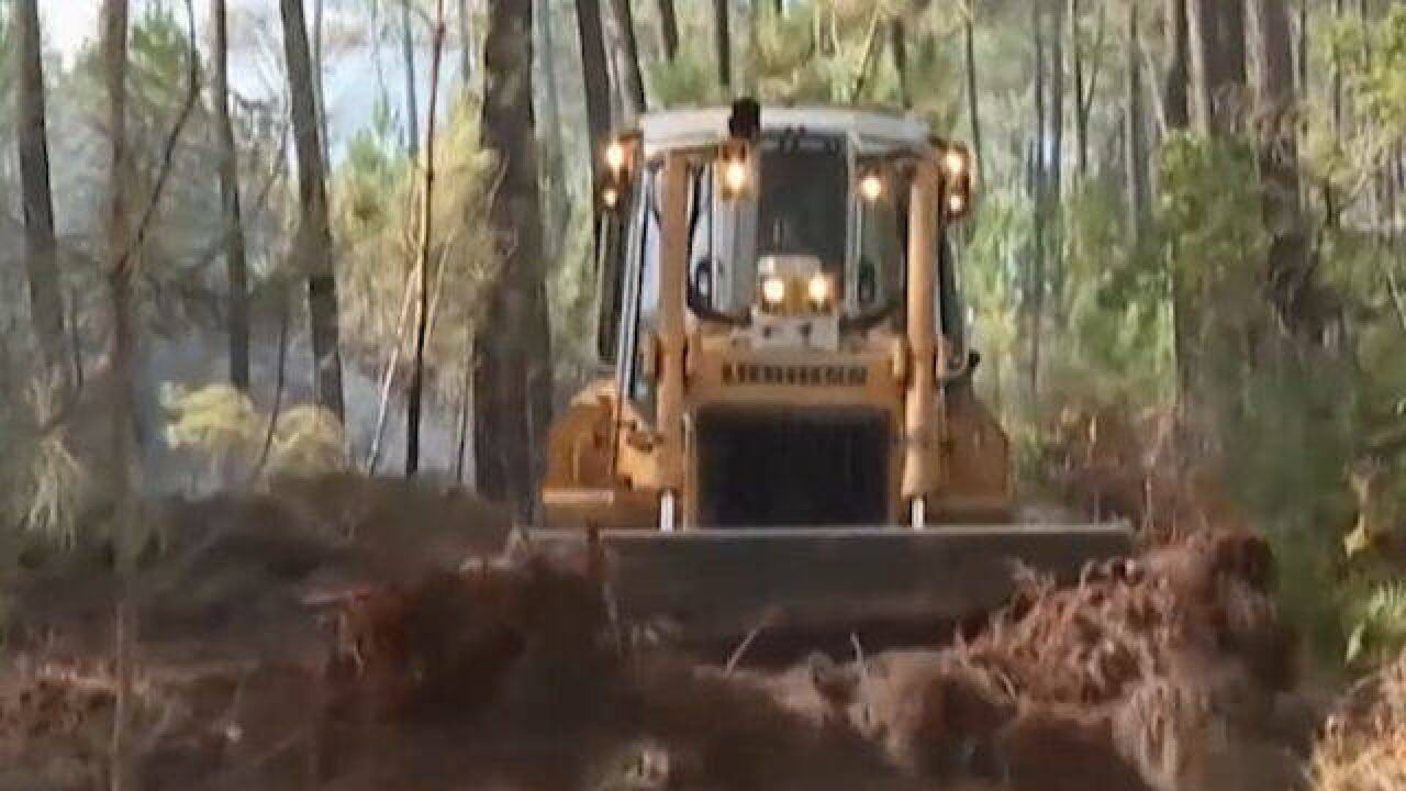 法国西南部建造防火带 防止林火复燃