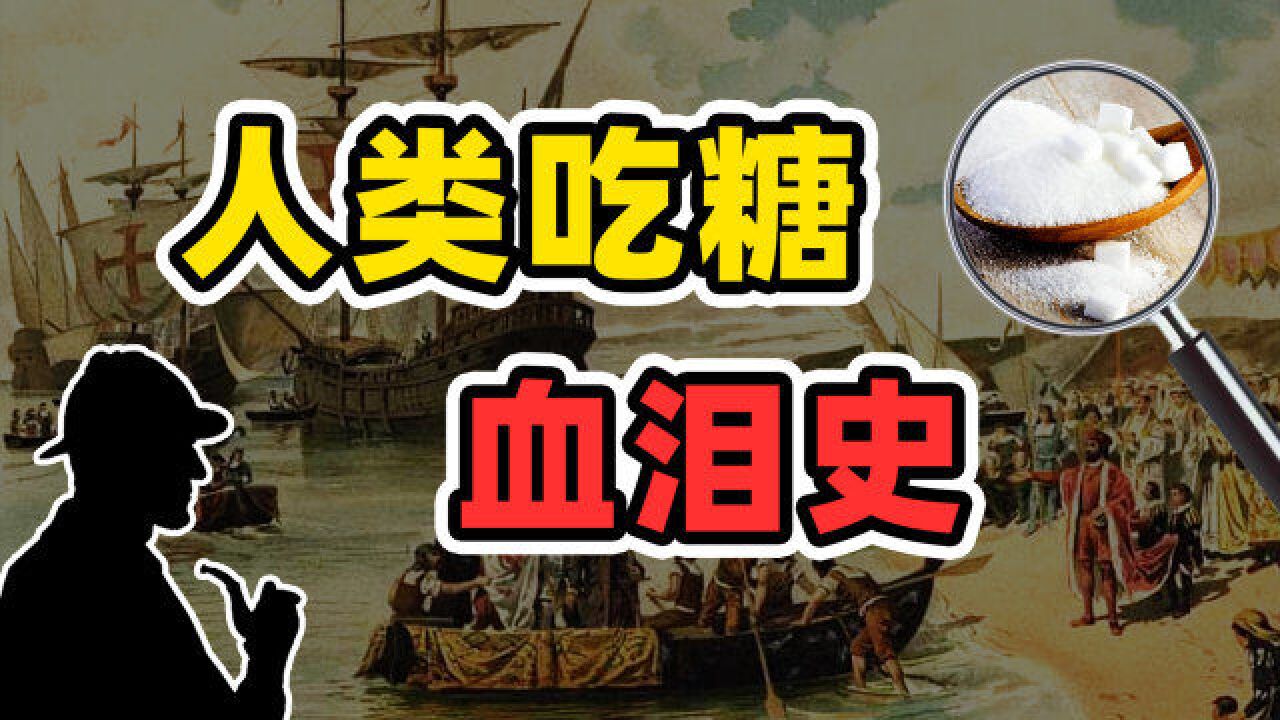 它引发了黑奴贸易、殖民战争、美国独立、甲午战争:一粒糖颠覆世界