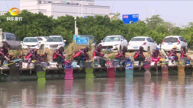 黑坑联盟杯广州花都海选赛 陆坚肝腥搓饵打浮攻罗非夺冠《鱼资渔味》