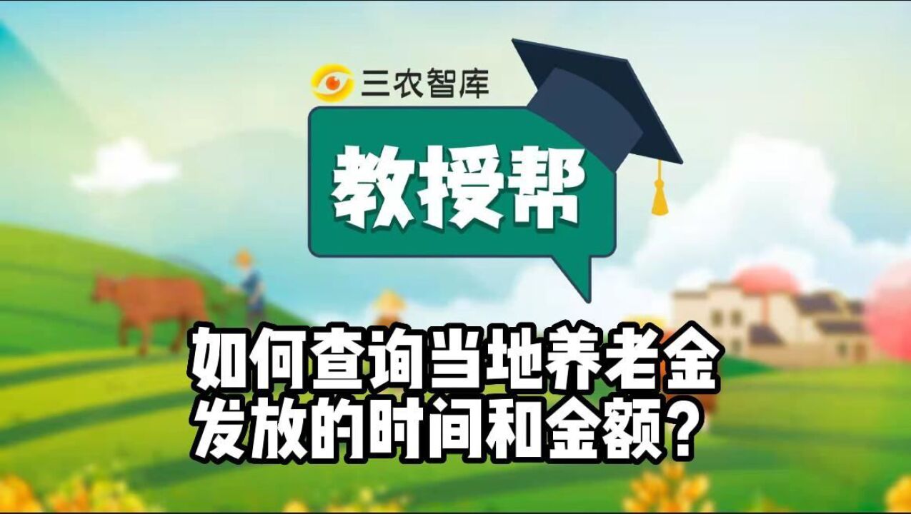 如何查询当地养老金发放的时间和金额?