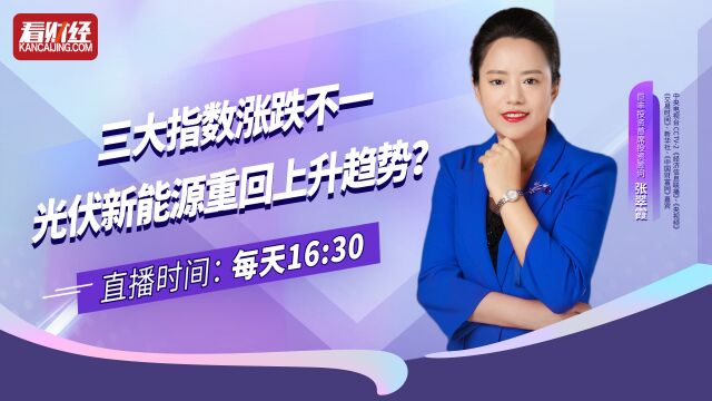 巨丰投顾张翠霞:三大指数涨跌不一,光伏新能源重回上升趋势?