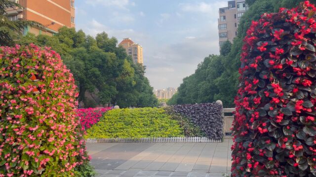 苏州市高新区狮山路城市风光分享