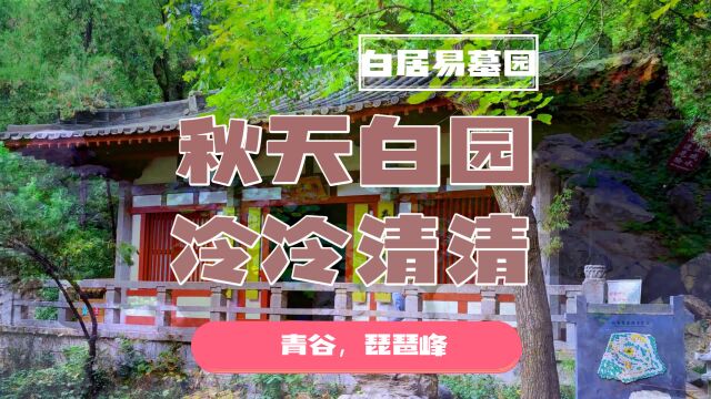 秋天打卡洛阳白园,白园冷冷清清,游人稀疏