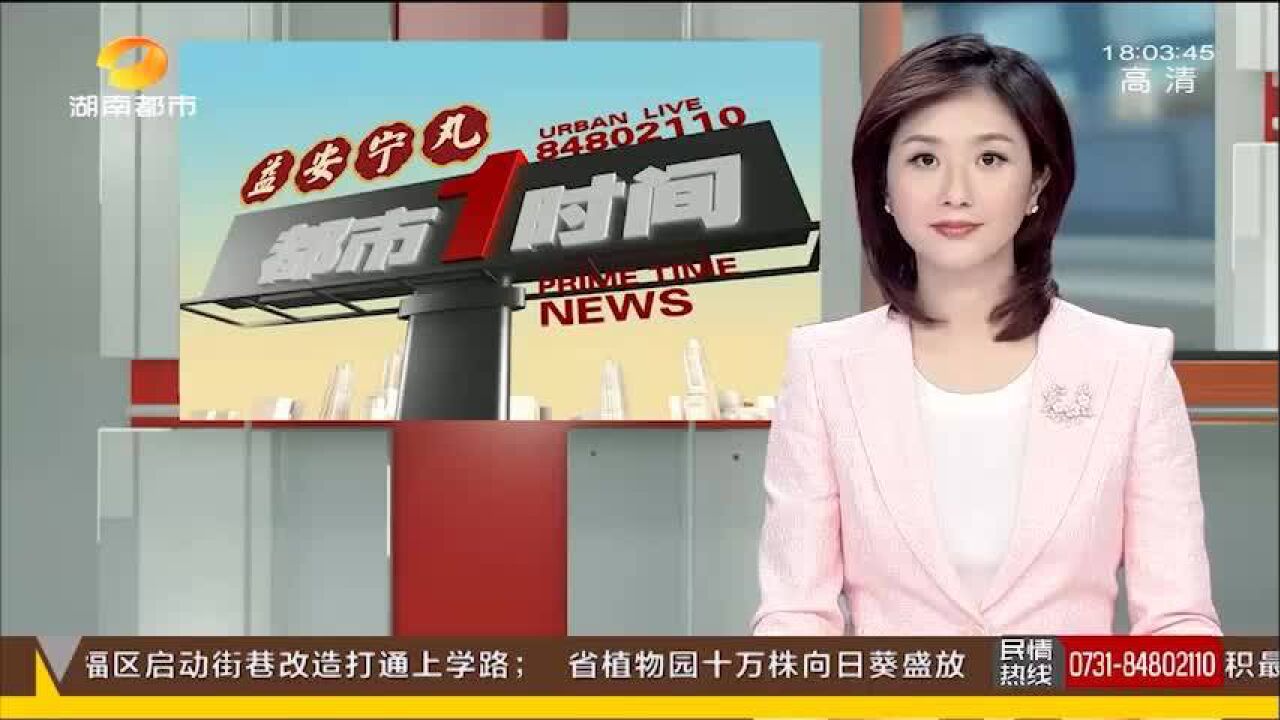 湖南2021年进出口总值超5972亿元:十年迈过四个千亿大关