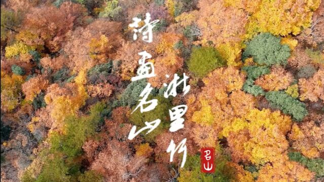 “诗画名山浙里行”来浙里名山实现生态康养