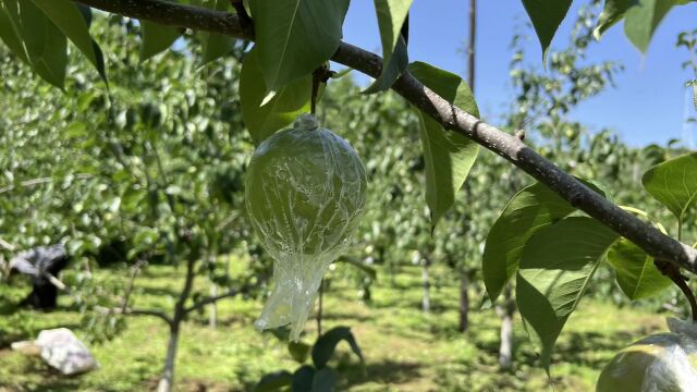 最新通报!一阳性人员在山西轨迹公布!多地紧急寻人!