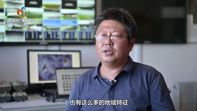 非凡十年 精彩答卷 | 我国生态文明建设取得历史性成就