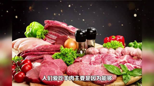 中国哪里的羊肉最好吃?一定超出你的想象