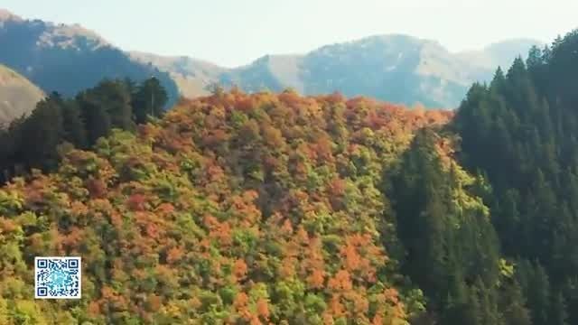 [文旅频道黄河恋]“陇右名山” 秋景如画