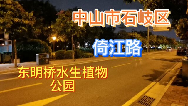 中山市石岐街道倚江路东明桥水生植物公园