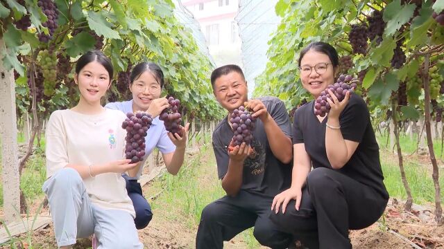 【存款保险 守护幸福与梦想】双峰农商银行存款保险宣传视频