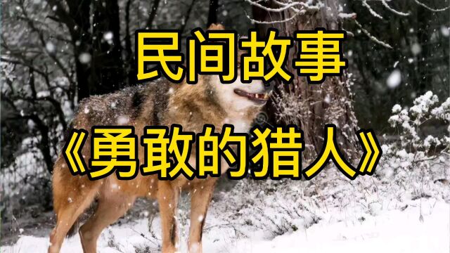 民间故事传说《勇敢的猎人》睡前故事,儿童故事,幽默故事