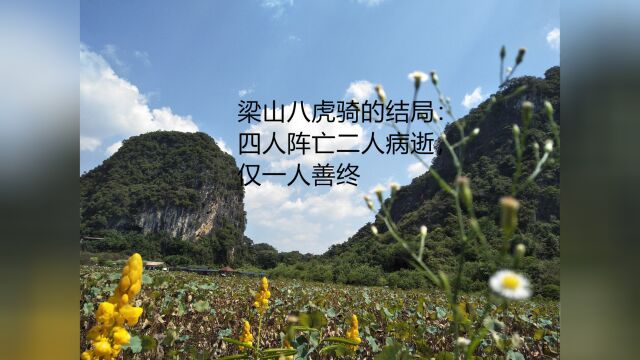 梁山八虎骑的结局:四人阵亡二人病逝,仅一人善终