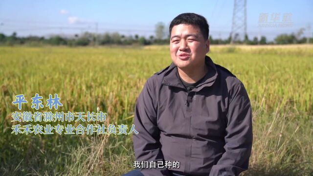 世界粮食日ⷧ獦䍼“90后”海归新农人的种粮经