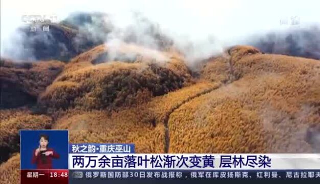 秋之韵ⷥ𑱨忮Š太原 从空中鸟瞰西山秋色 美景如画