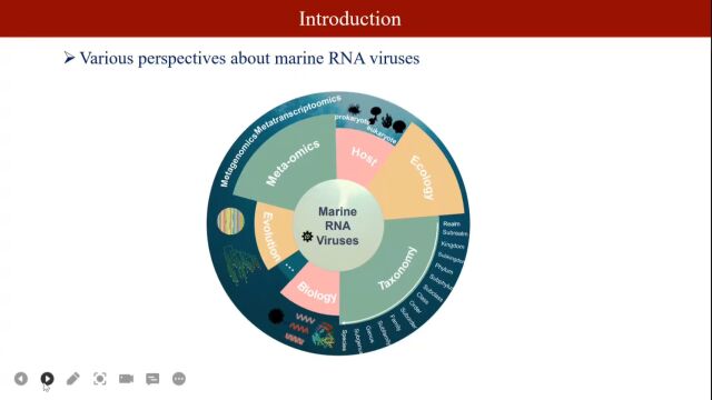 iMeta | 中科院上海巴斯德所崔杰组综述海洋RNA病毒圈的二十年研究