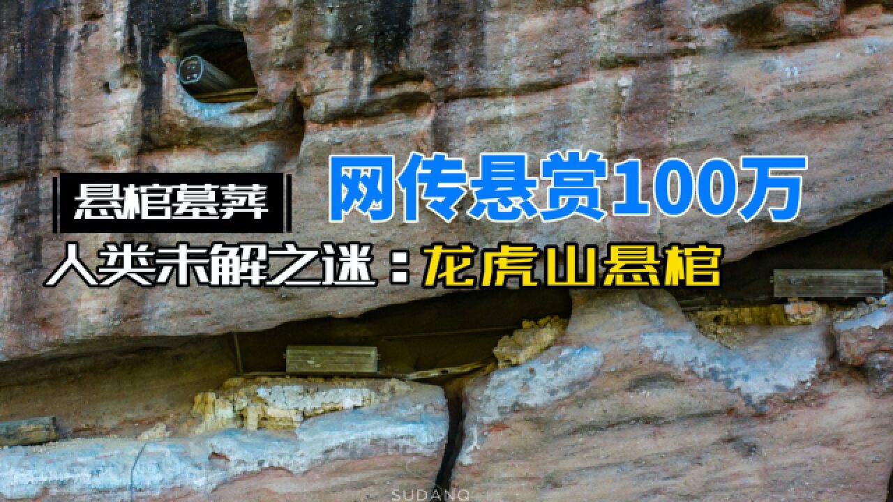 网传悬赏100万!人类未解的千古之谜:龙虎山悬棺墓葬群