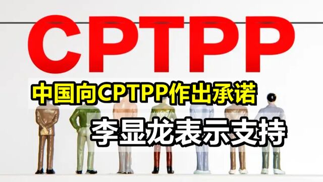 中国积极争取“入群”,向CPTPP作出开放承诺,李显龙:支持