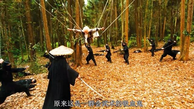 岛国奇幻动作《最后的吸血鬼》岛国战乱,一众邪魔趁虚而入