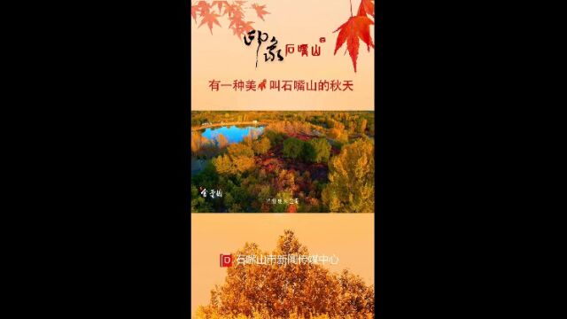 有一种美,叫石嘴山的秋天~ (摄制:专题新闻部)#石嘴山市 #秋天 #最美的风景