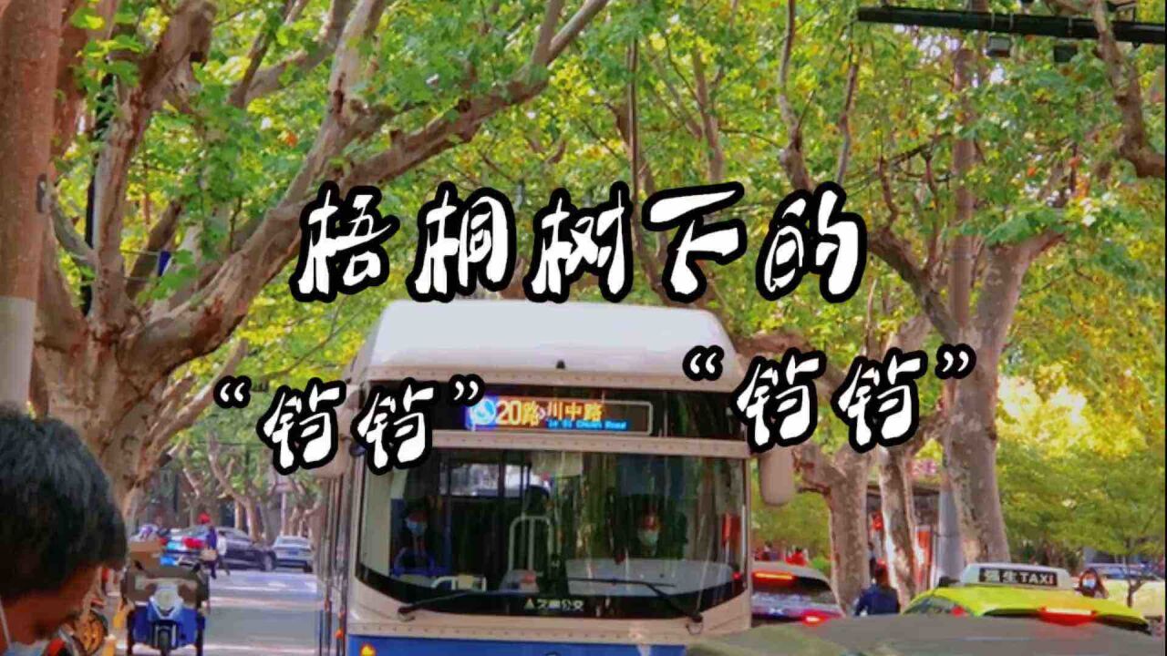 老上海元素:梧桐树下的“铛铛,铛铛”..