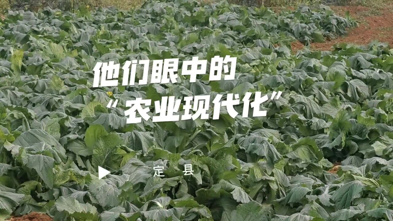 我的蹲点日记丨贵州普定:这就是农户所期待的“农业现代化”