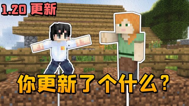 mojang你更新了个什么?3个小修改,史上最敷衍快照版本更新