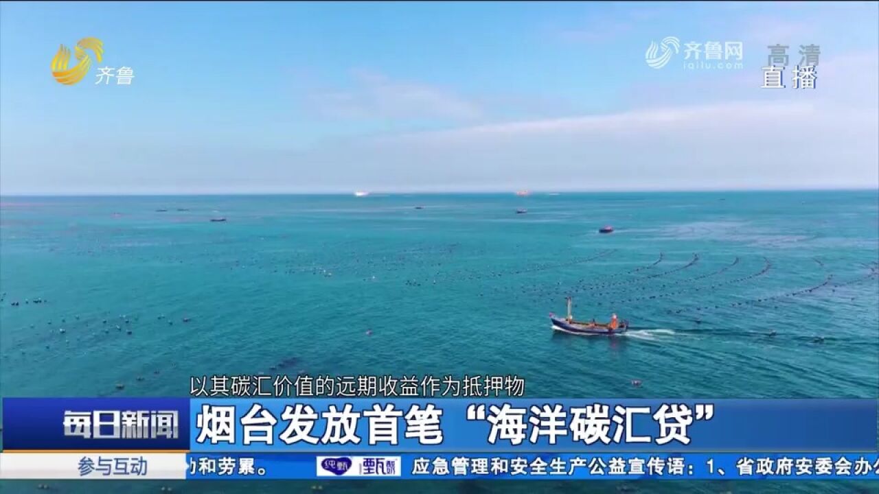 二氧化碳能贷款!烟台首笔“海洋碳汇贷”落地长岛,金额30万元