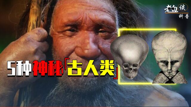 5种神秘远古人类,霍比特人竟真实存在?长得像外星人又是咋回事