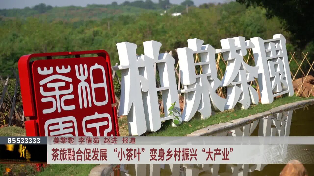 茶旅融合促发展 “小茶叶”变身乡村振兴“大产业”