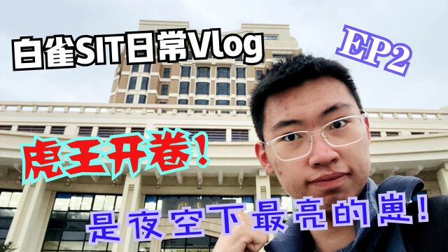 白雀SIT日常生活Vlog02:虎王开卷!是夜空下最亮的崽!!