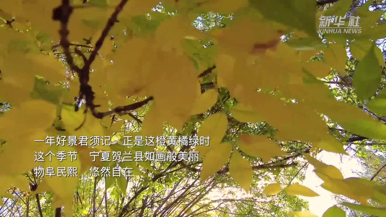 千城胜景|感受“贺兰”四时之美