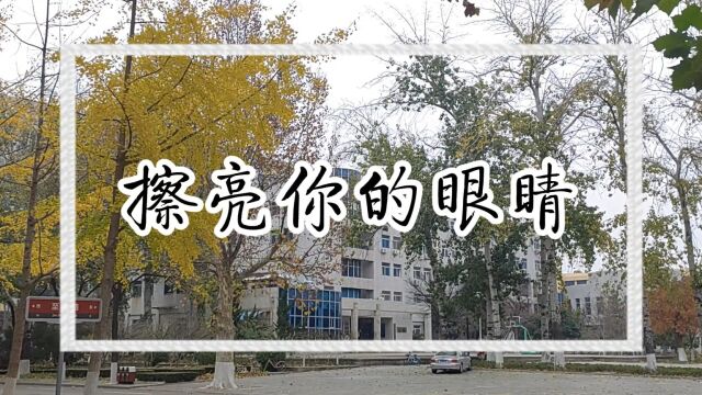 山东大学国际教育学院+反诈骗联盟+擦亮你的眼睛#山东大学第七届安全短视频评选活动#