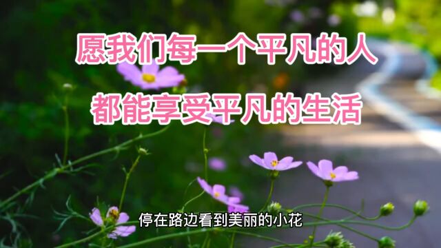 愿平凡的我们过好平凡的日子