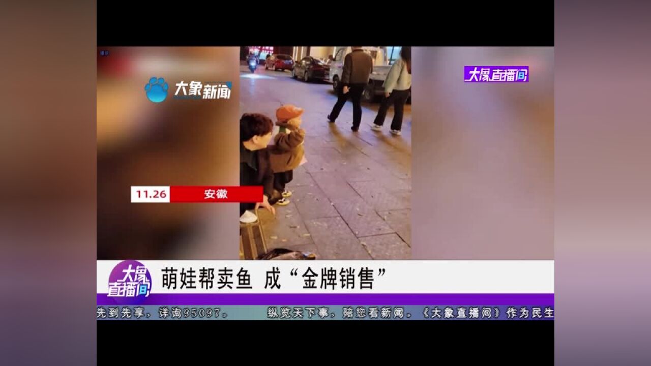 萌娃帮卖鱼,成“金牌销售”