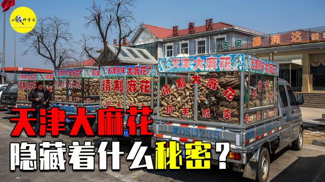 遍布全国的天津大麻花,究竟靠什么盈利?他们的真实身份是什么?