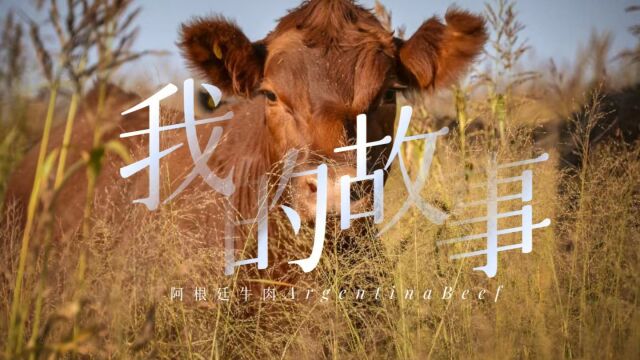 阿根廷牛肉 | 我从哪儿来?看完视频告诉你!