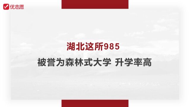 湖北这所985被誉为森林式大学,升学率高,高中生家长可重点关注