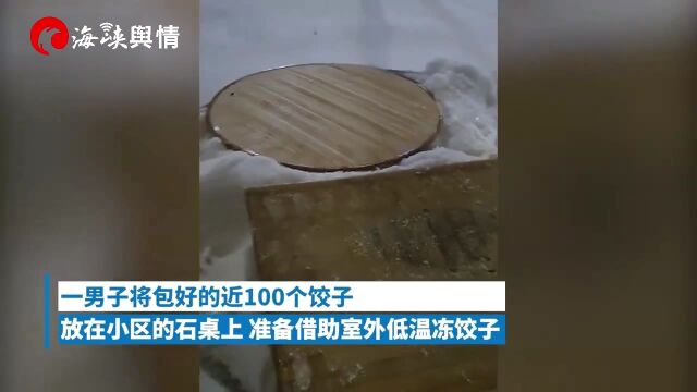 男子把饺子放室外冰冻被狗子全干完:10分钟100个没了