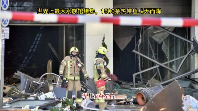 世界上最大水族馆爆炸,1500条热带鱼从天而降